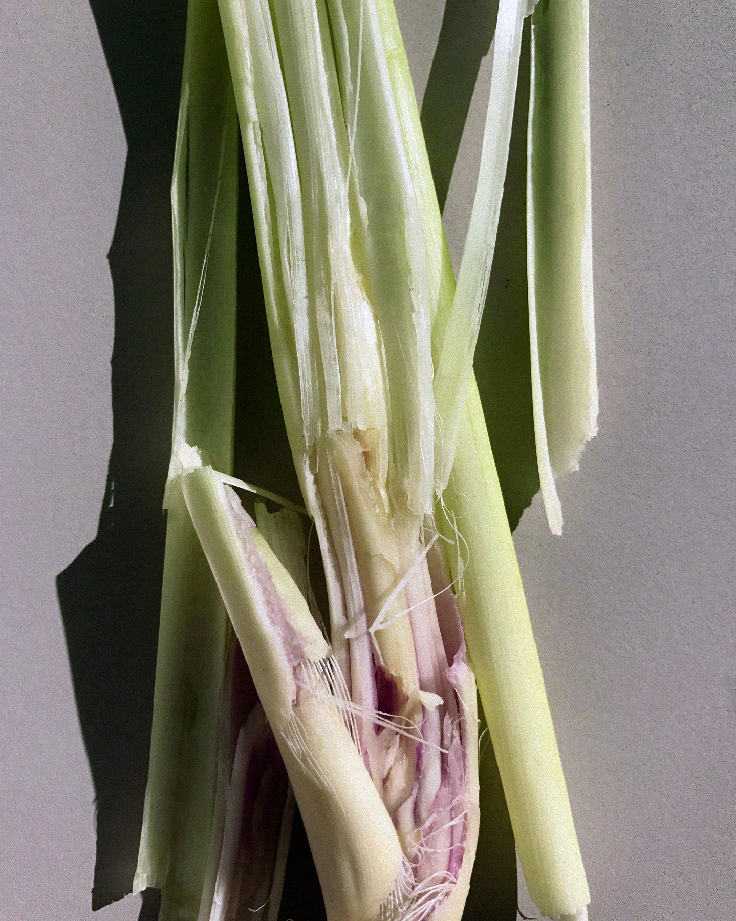 LEMONGRASS HAND & BODY WASH